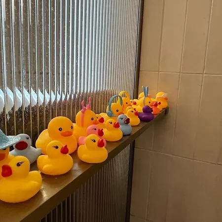 Bel Au Coeur De Lägenhet Toulouse